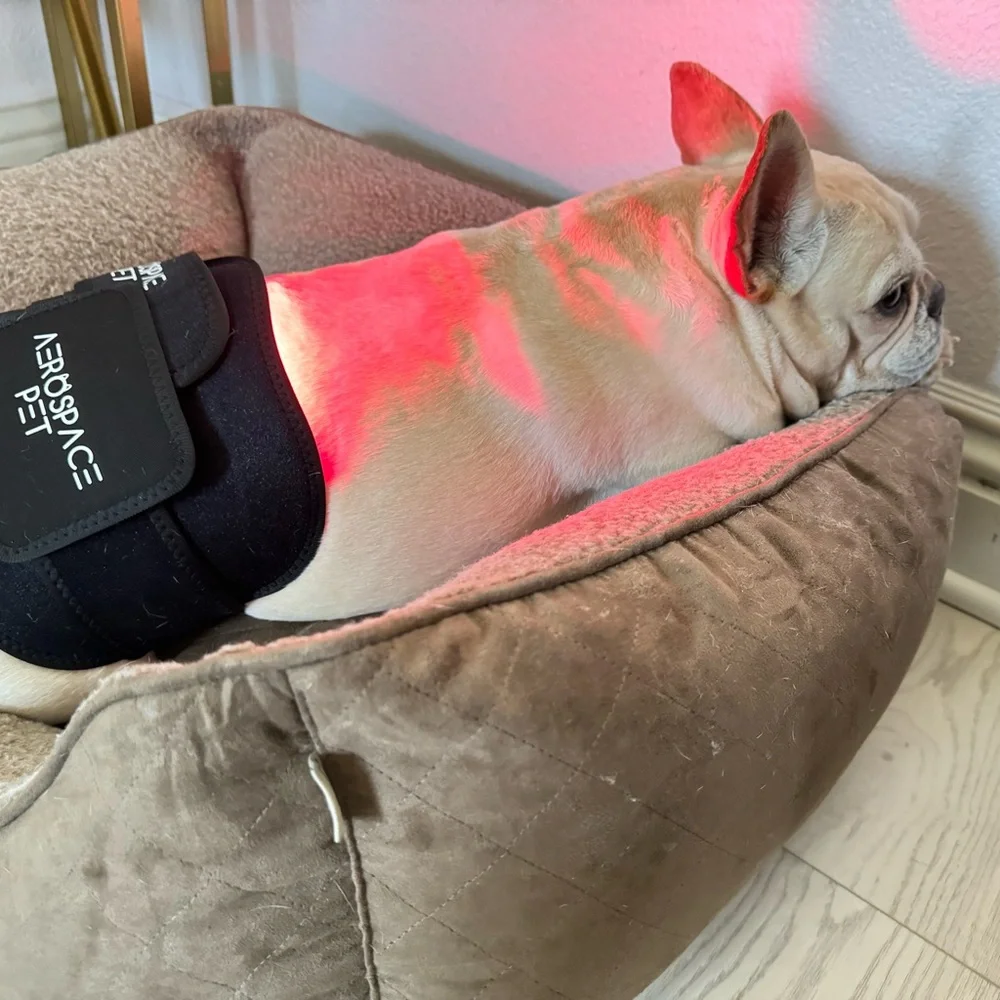 Pet Red Light Therapy Pad, Infrared Light for Joint and Muscle Pain Relief